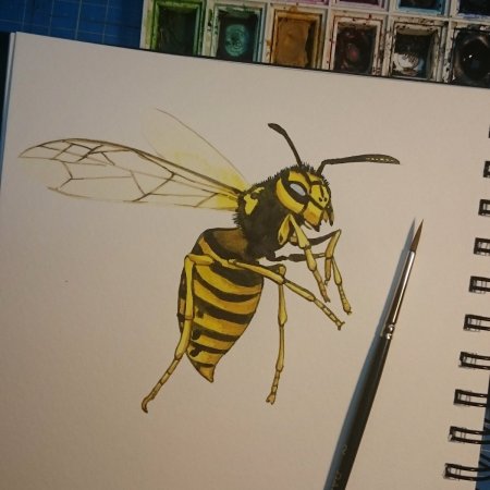 Оса для дошкольников