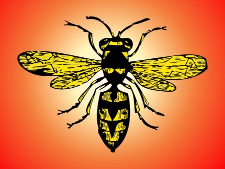 Шмель пчела Оса Шершень