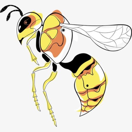 Шершень раскраска