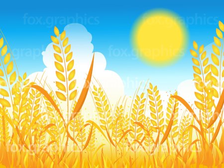 Ребенок в поле пшеницы