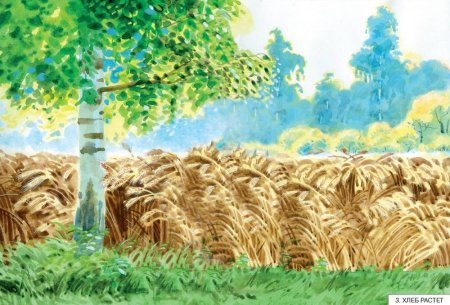 Нарисованное пшеничное поле