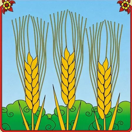 Аппликация хлебный колосок