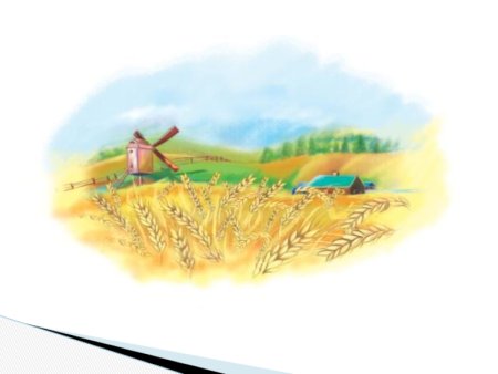 Поле рисунок