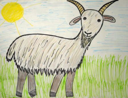 Рисование с детьми средней группы