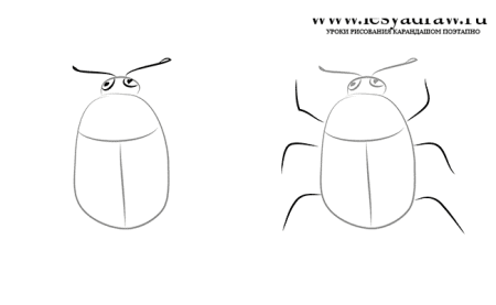 Жук рисунок