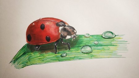 Майский хрущ мультяшная