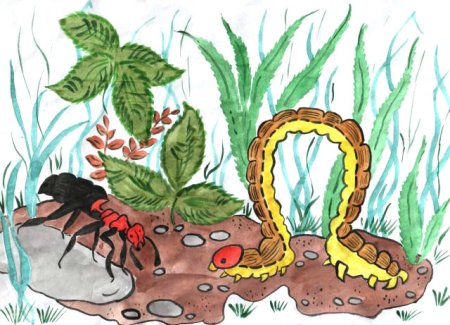 Помощники муравьишки Бианки