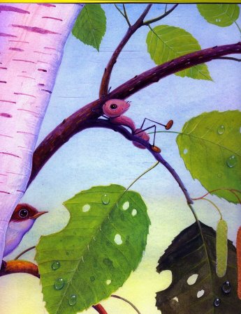 Бианки иллюстрации к рассказам