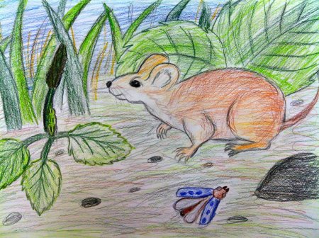 Бианки в.в. "мышонок пик"