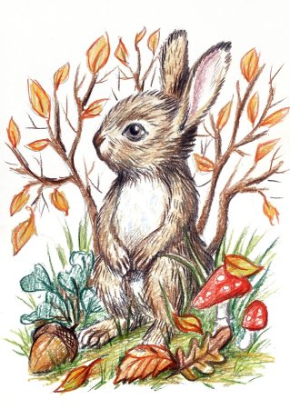 Заяц осенью