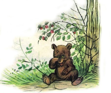 Медвежонок любит мед