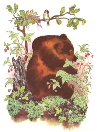 Медведь ест малину для детей