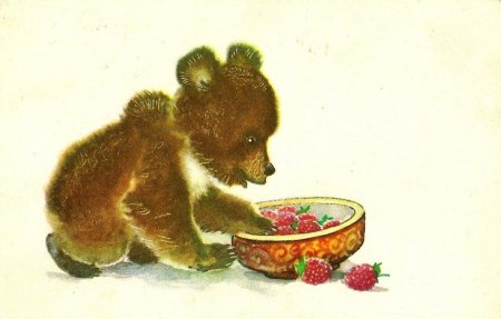 Медведь ест мед