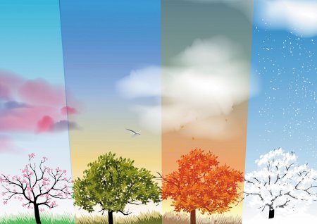 Пейзаж по временам года