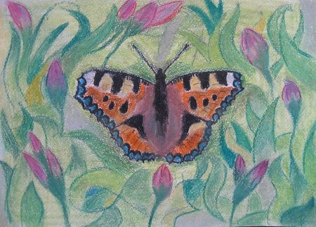 Рисование бабочки пастелью