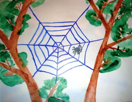 Нарисовать паутину на дереве