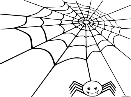 Паутина раскраска