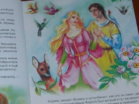 Златовласка Goldilocks