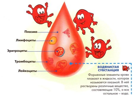 Донорство значок