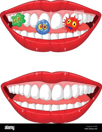 Улыбка губы зубы