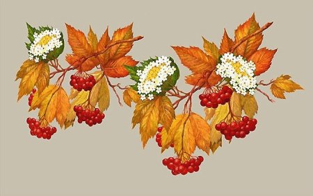 Калина рисунок