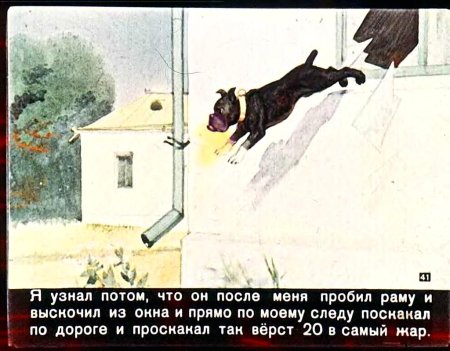 Произведение Льва Николаевича Толстого Булька