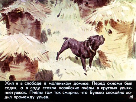 Лев толстой Булька