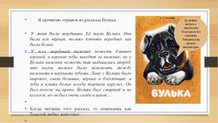 Толстой л. "Булька"