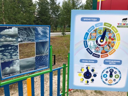 Метеоролог мультяшный