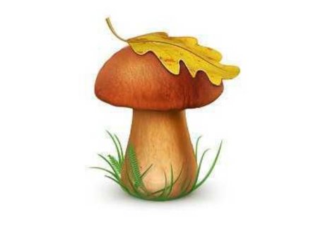 Гриб Боровик для детей