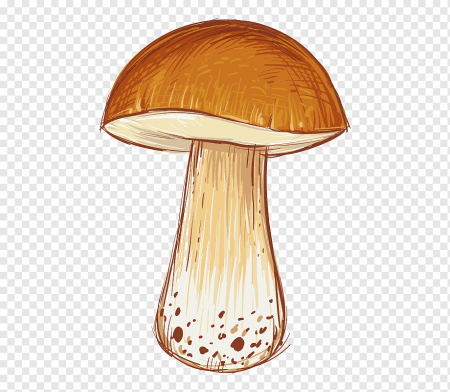Рисуем грибы
