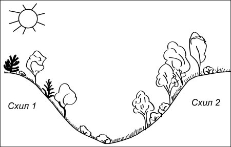 Овраг раскраска для детей