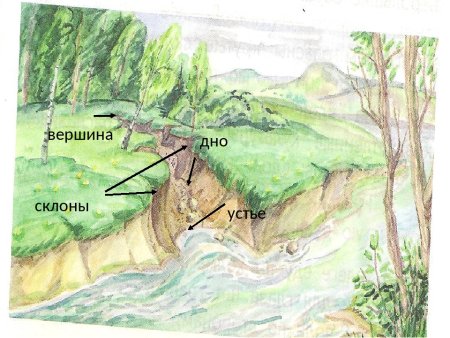 Строение оврага