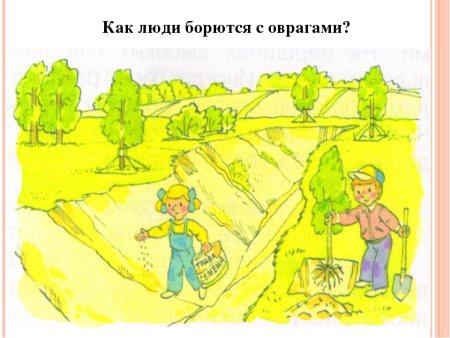 Способы борьбы с оврагами