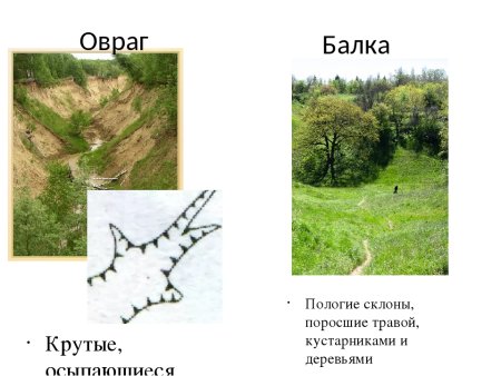 Балка овраг