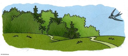 Лес рисунок для детей