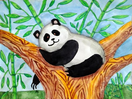 Панда сидит на дереве рисунок