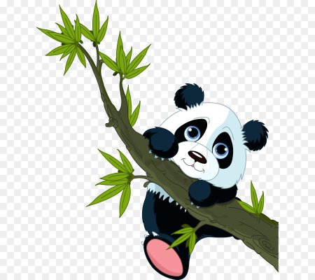 Дети $ Panda