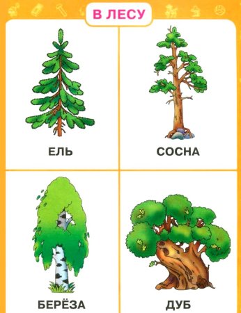 Деревья леса карточки
