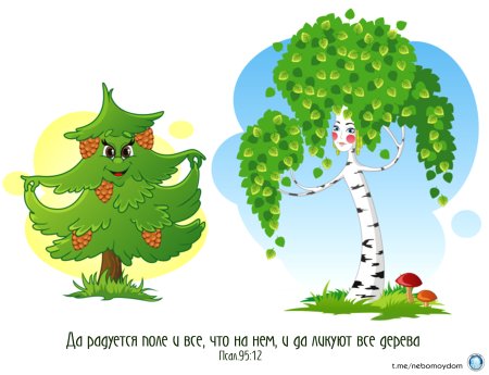 Дерево береза для детей с подписями