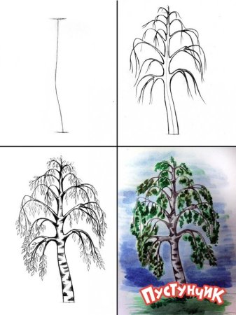 Липа карточка для детей
