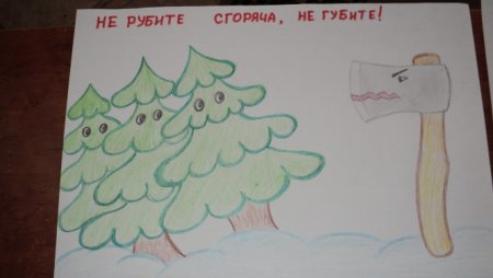 Рисунок на тему не рубите елки