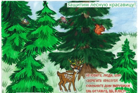 Листовка в защиту ели
