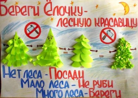Экологическая акция елочка живи