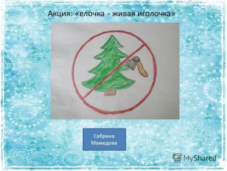 Берегите елочку