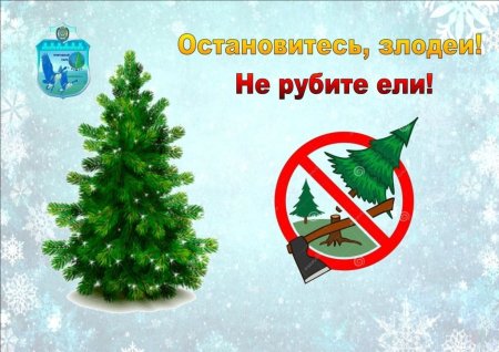 Акция не рубите елочку в детском саду