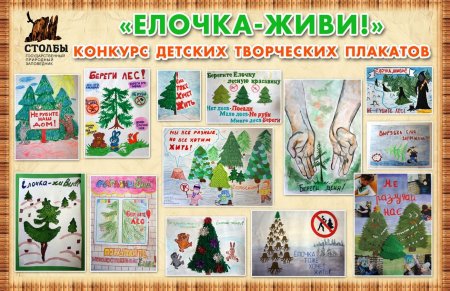 Акция берегите елки