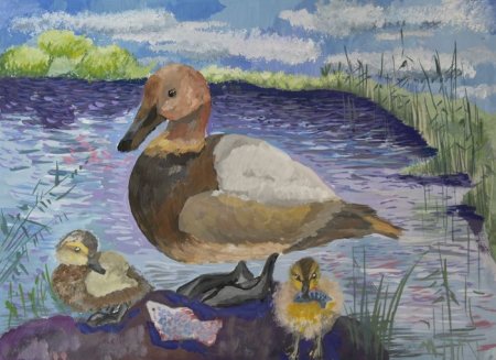 Рисунки с утками