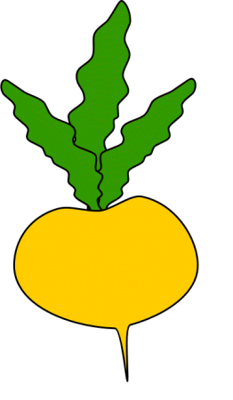 Репа рисунок