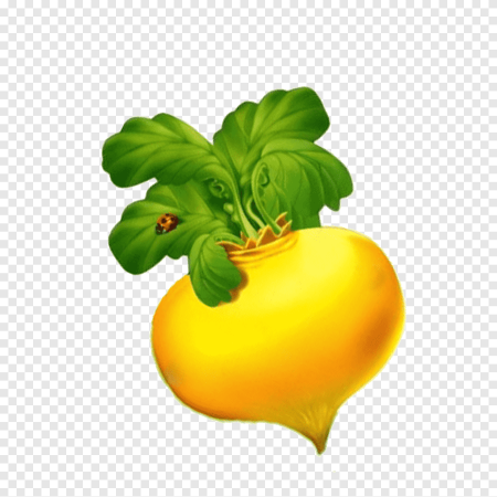Репка из Репки